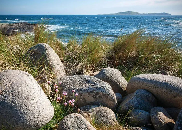 Dom wakacyjny 464 - *